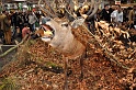 Pferd u Jagd   016